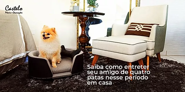 Saiba como entreter seu amigo de quatro patas nesse período em casa!