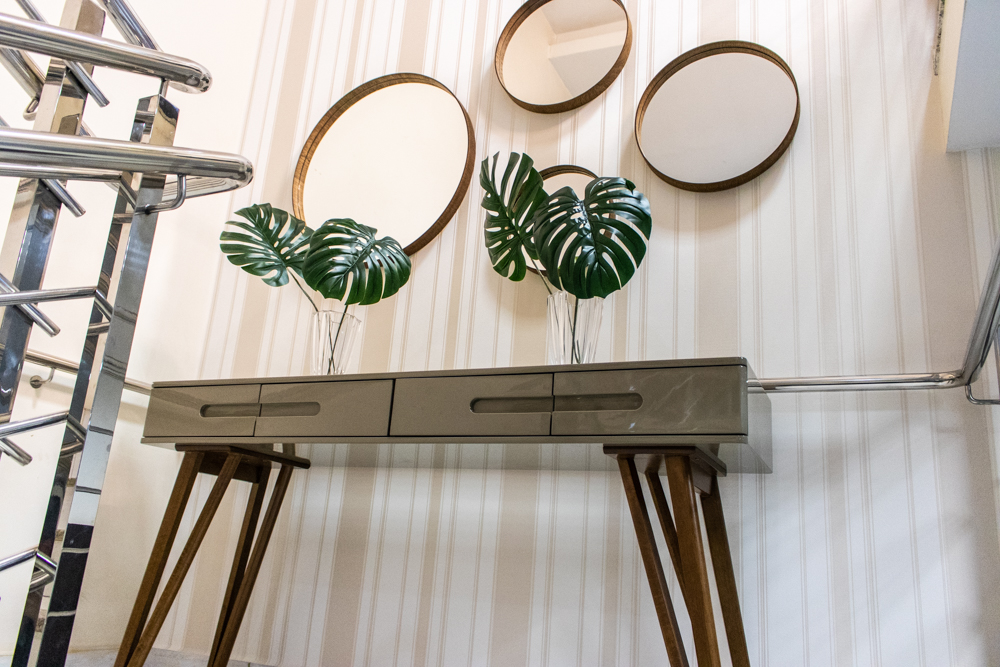 5 plantas e ervas para a sua casa e os significados delas